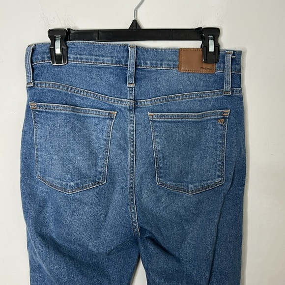 Madewell 10” High Rise Skinny Jeans in Dewitt Wash - Picture 6 of 11